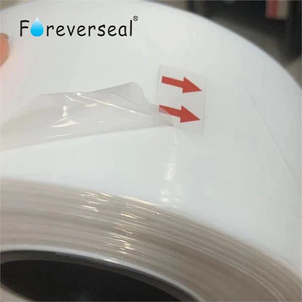 Ptfe Transparent Film sample